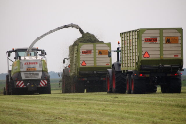 meppelink drenthe