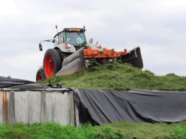 Foto 8 van het album Loon- en grondwerken